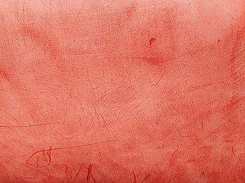 《动物派对》Steam低价区售价调整 国区价格保持不变