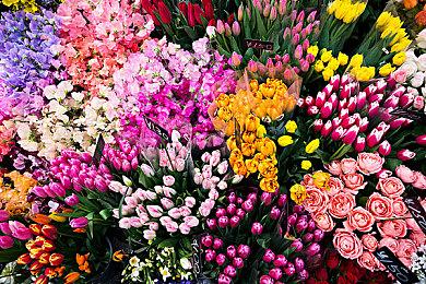 《死亡之屋2：重制版》PC配置需求 GTX1070就能爽玩