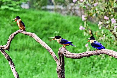 结果毫不意外！ 《小小梦魇3》Demo三大主机画面对比