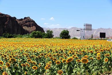 《星球大战绝地：幸存者》PC系统配置需求公布